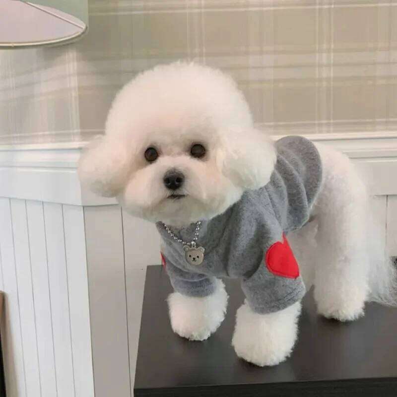 INS Teddy Bear Dog Love Sleeve Bottom Shirt Two Leg Velvet Cat Autumn/Winter Pet Clothing Puppy Clothes 26L0104