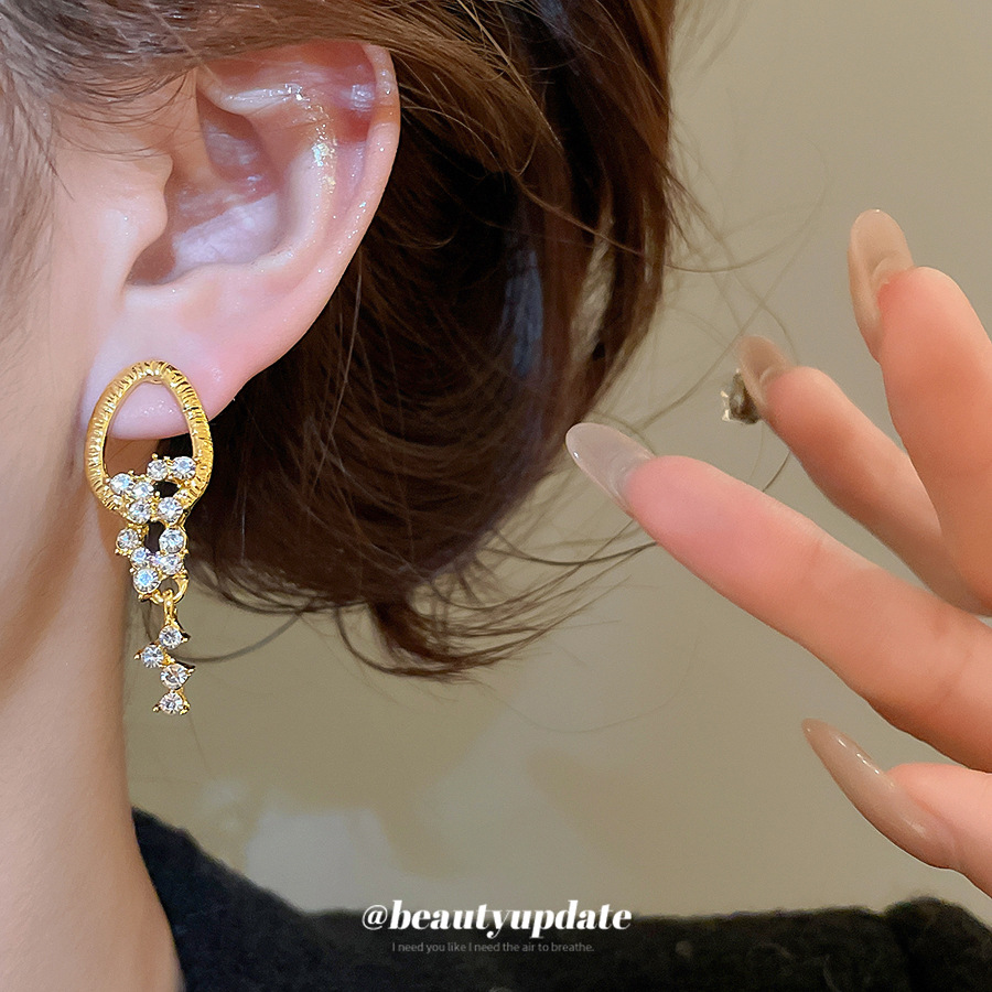 Silver needle diamond-encrusted round fringed earrings, French vintage style, elegant and versatile, light luxury and high-end feeling, women's e