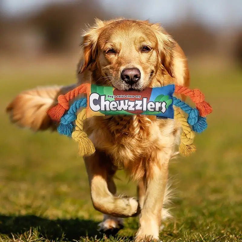 Rainbow Twist Candy Dog Chew Toy with Squeaker for Teeth Grinding Interactive Play Bite Resistant Pet Supplies 251225