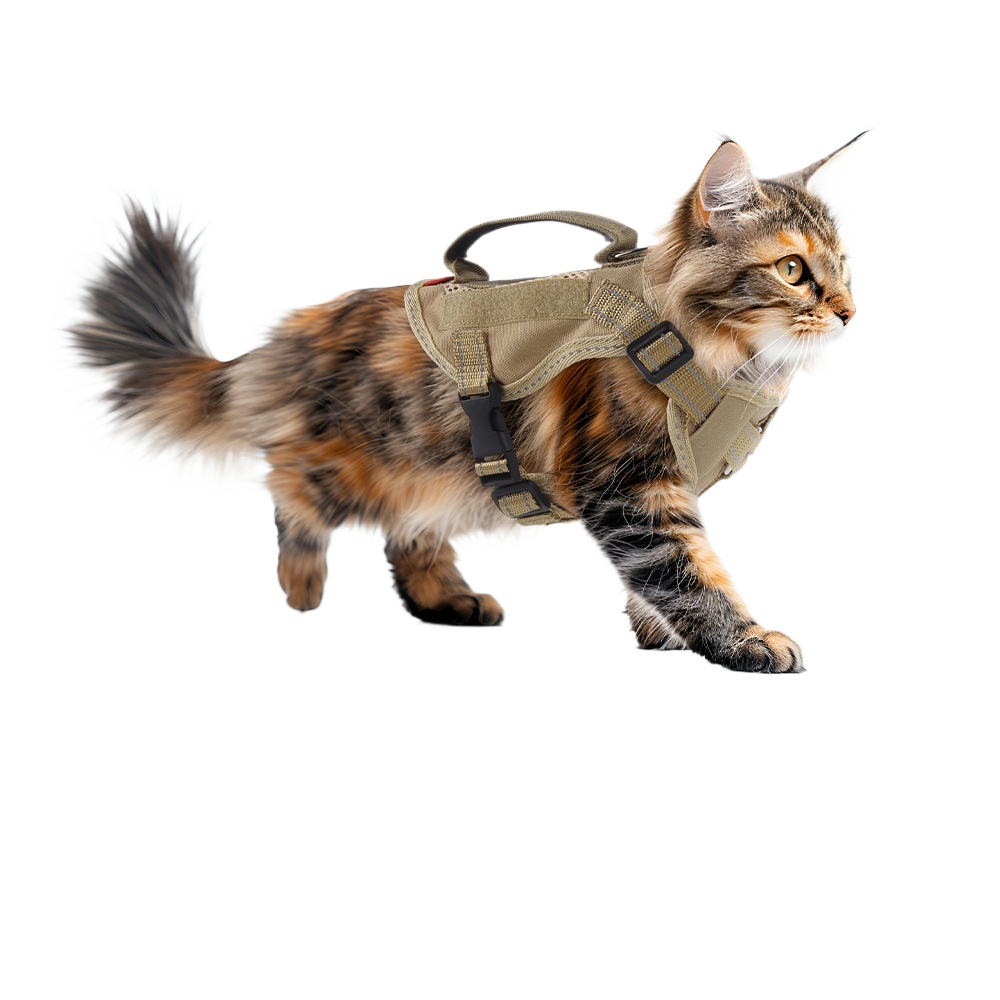 Cat Traction Rope Vest Style Cat Tactical Chest and Back Handle Reflective Breathable Walking Cat Rope
