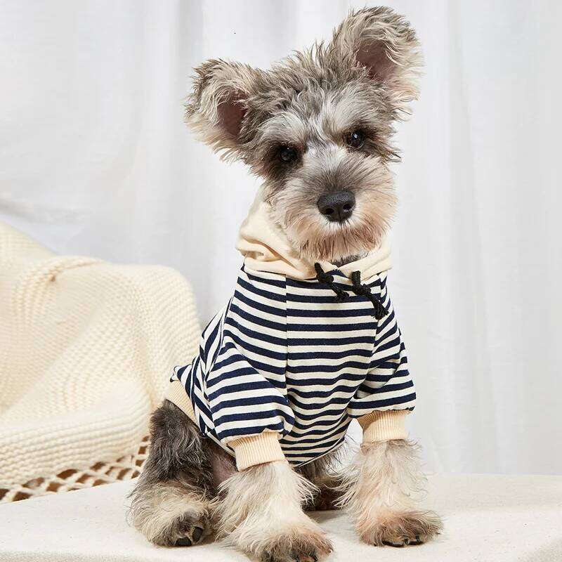 Pet French Bulldog winter warm pet coat stripe Hoodie cat clothing Chihuahua small and medium dog clothes 26L0104
