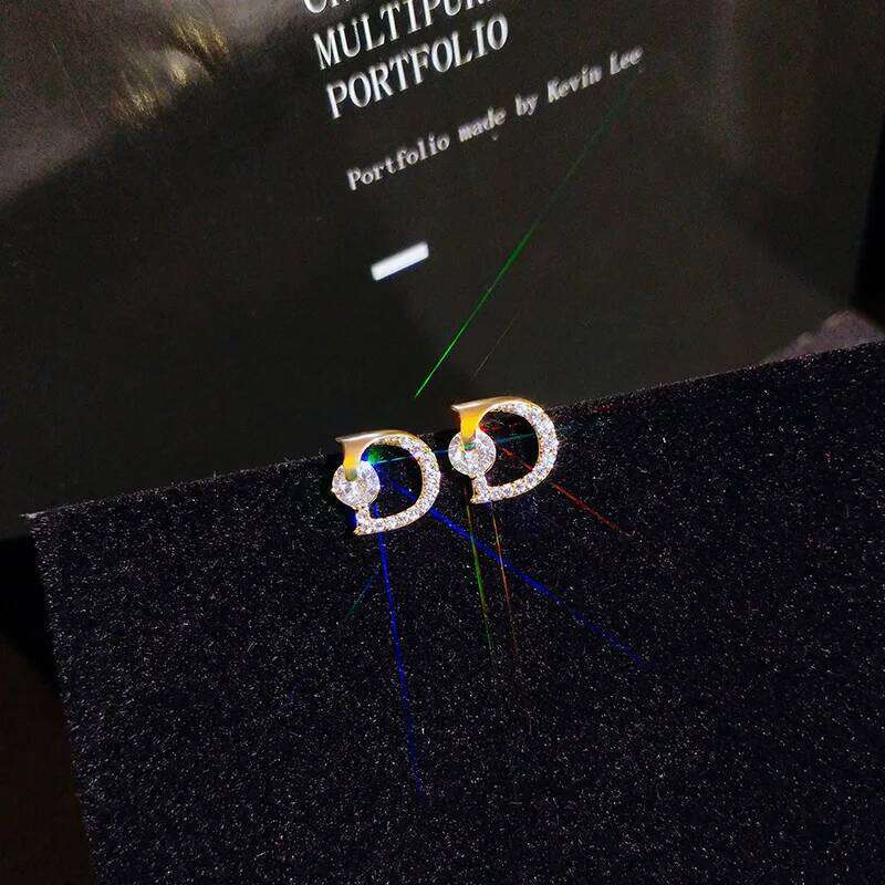 Luxury AAA Zircon Titanium Steel Stud Earring Rose Gold Piercing Letter D Earrings for Women's Ear Jewelry