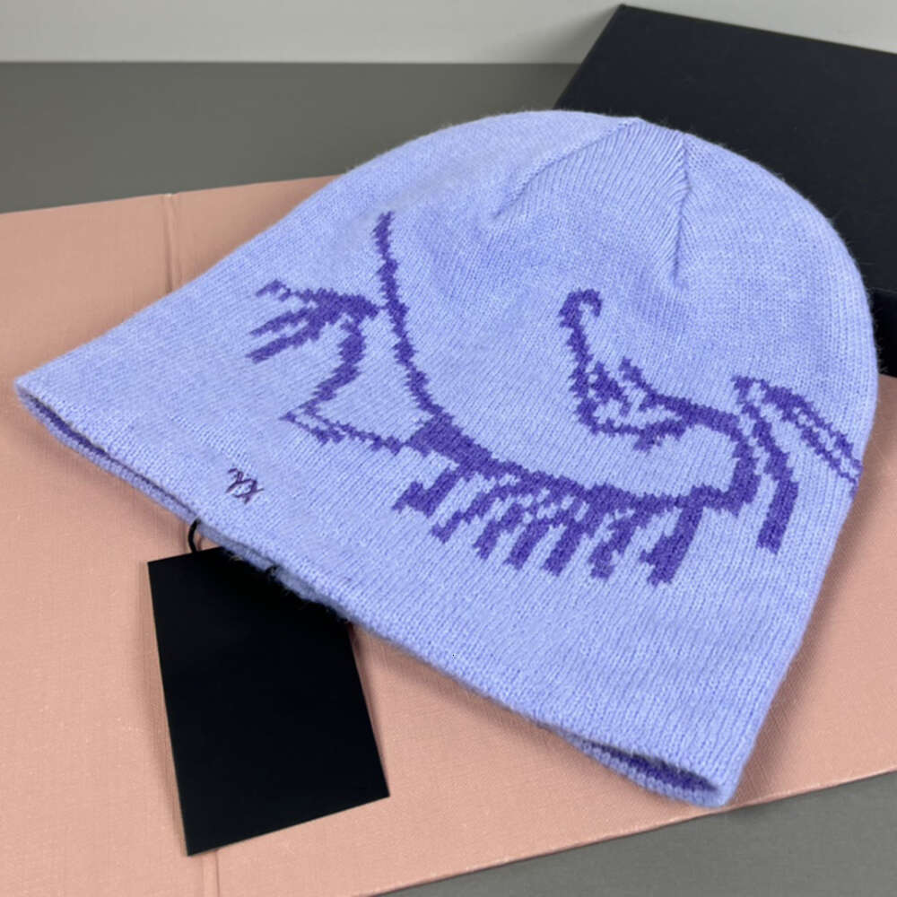 Arc Teryxs Designer Wool Luxury Arcteryxlis Hat Embroidered Ancient Bird Pattern Street Fashion Brand Arctwrys Beanie Autumn And Winter Warm Ski Hats 0E9