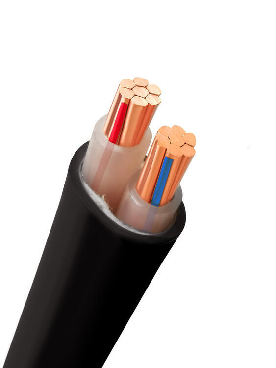 YJY (0.6/1 kilovolt copper core cross-linked polyethylene insulated polyvinyl chloride sheathed power cable - Grade III core wire)