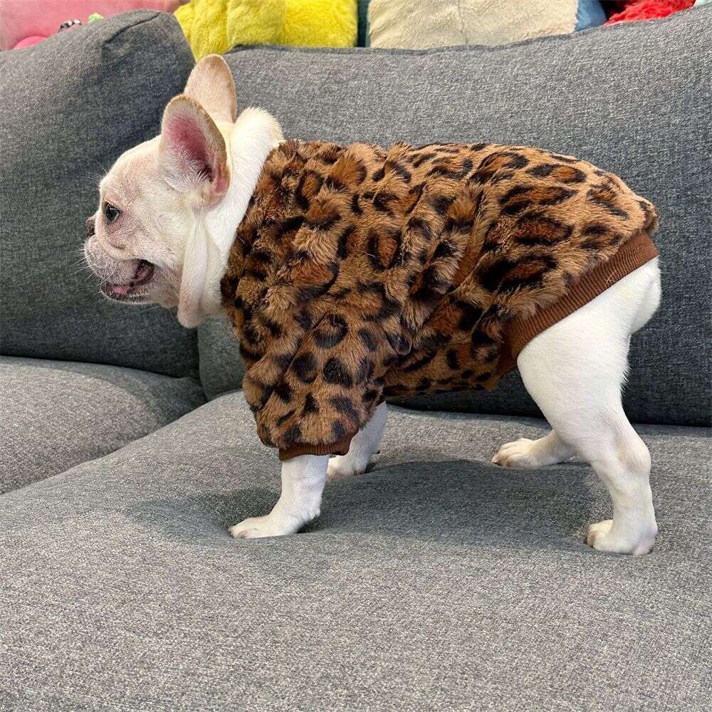 Autumn and Winter Dog Clothes French English Bulldog Pug Corgi Pitbull Pet Warm Fleece Thickened Clothing