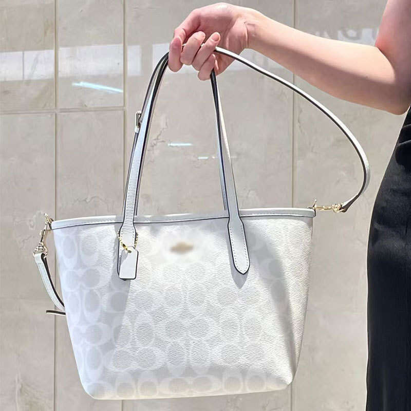 2026 Schia pare Bags ANATOMY JEWELRY BAG Luxury Designer Face Bag Women Totes Check Velour Thread Purse Solid Hasp Waist Square Stripes Women Luxury Stylish