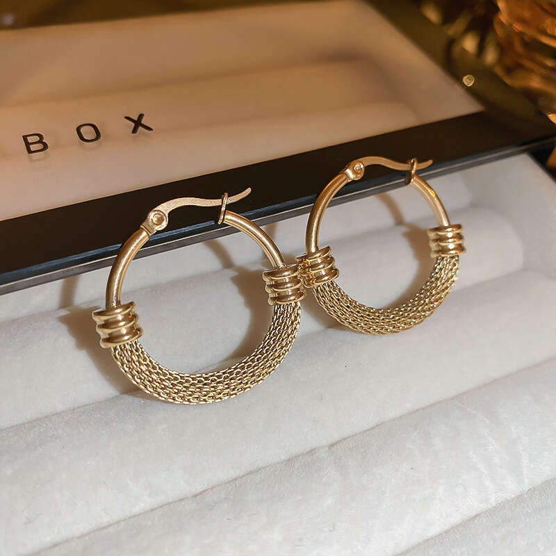 Earrings designer Geometric Metal Hoop Elegant Fashion Simple Ins Style Earrings Wholesale for Women