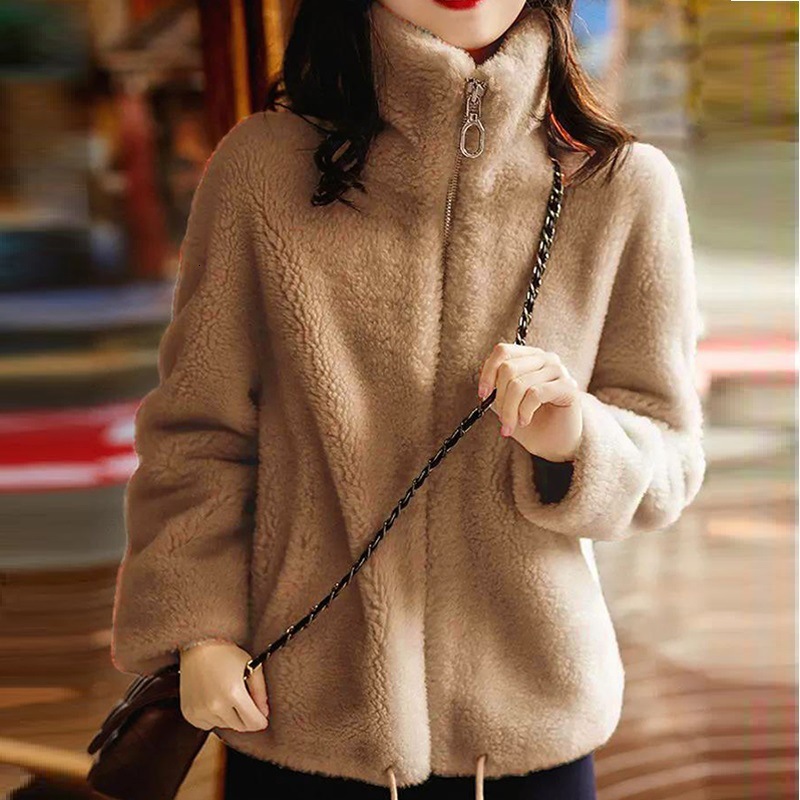 Coral Thickened Autumn Winter New Zipper Sweatshirt Women's Double-Sided Fleece Solid Color Simple Warm High-Neck Jacket