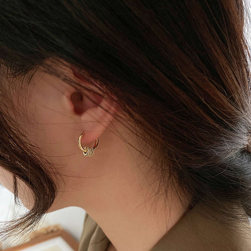 Earrings designer Geometric Metal Hoop Elegant Fashion Simple Ins Style Earrings Wholesale for Women