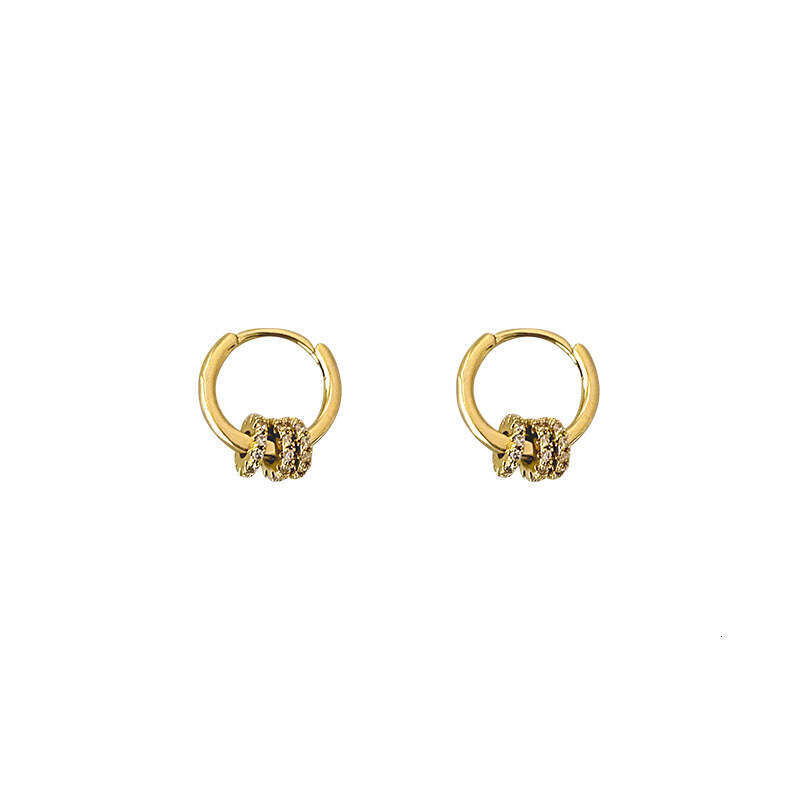Earrings designer Geometric Metal Hoop Elegant Fashion Simple Ins Style Earrings Wholesale for Women