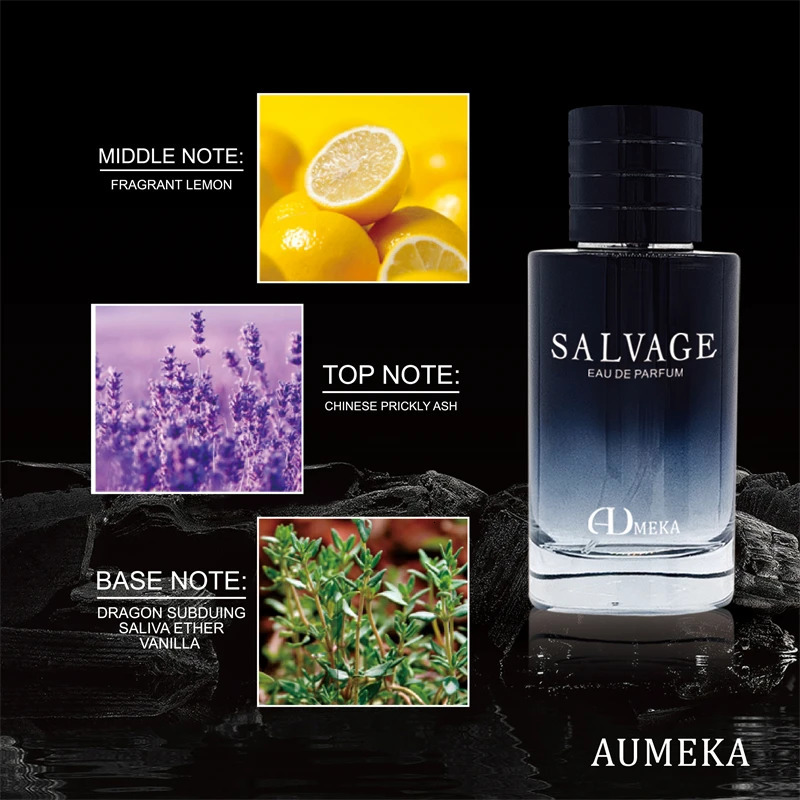 AUMEKA Perfume For Men Original Arabes Woody Eau De Parfum Man Gift Makeup 100ml AU247 251230