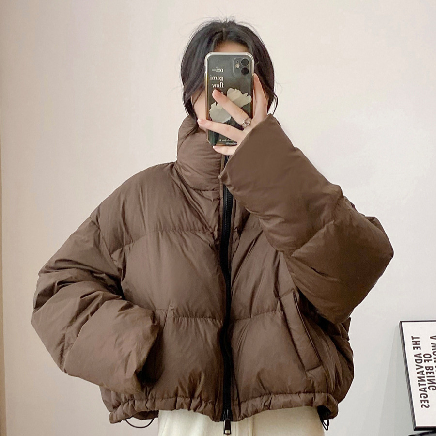 Brown Kendall Jenner Style Stand Collar Puffer Jacket for Women Winter Short Small Size Warm Thickened Foreign Trade Cotton Coat
