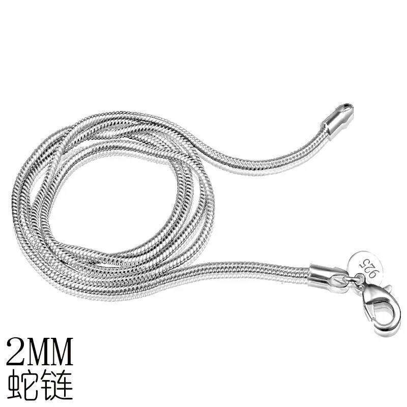 Steampunk 925 Plated Jewelry Collares Grandes De Moda 2025 Thin Snake Chains Silver Color Necklace Women Chain Girls