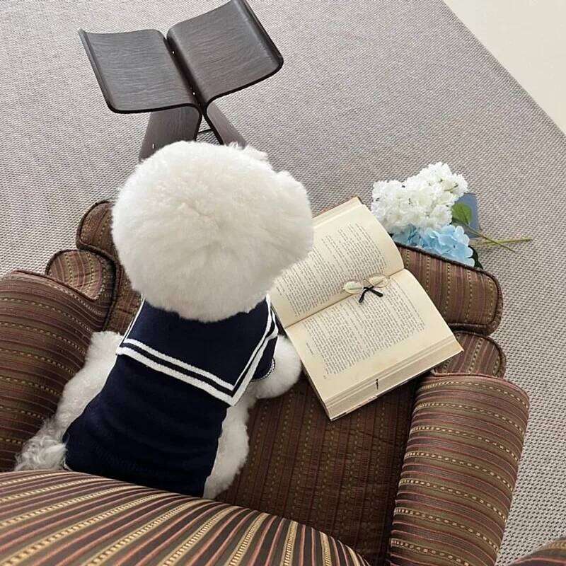 Sweet Teddy Sweater Pet Warm Clothing Autumn-Winter Poodle Two-Legged Knitted Puppy Versatile Button-Down Clothes 26H0107