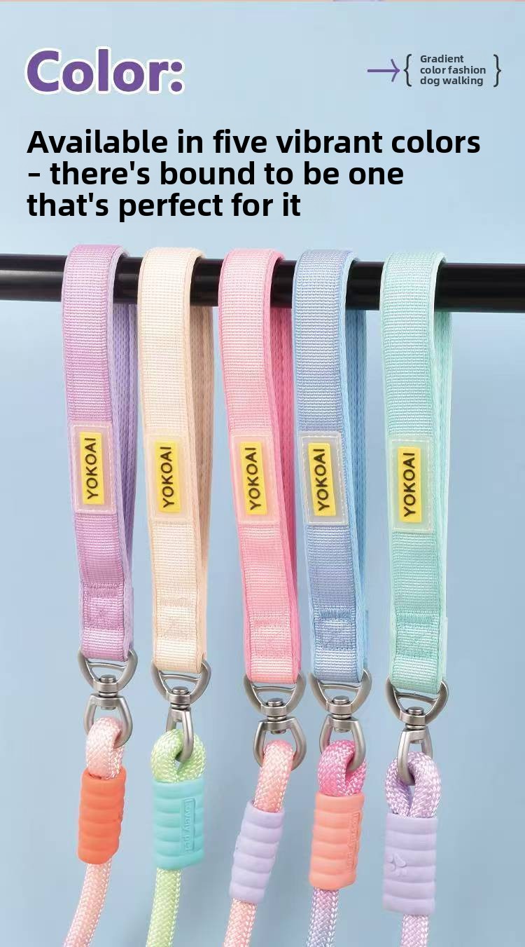 Durable Anti Pull P Rope Dog Leash No Tangle Pet Lead for Medium Large Dogs Training Leash