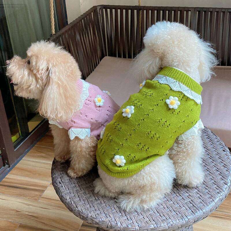 Luxury Designer Warm Winter Clothes for Pets Wool Knitting Floral New Year York Dog Sweaters Sphinx Cat Christmas Puppy Clothing 26H0107