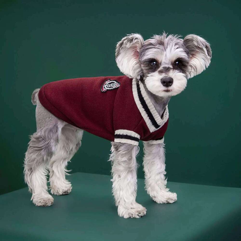 College Style Pet Sweater Winter Warm Dog Clothes for Small Medium Dogs Puppy Cat Vest Chihuahua French Bulldog Yorkie Coat 26H0107