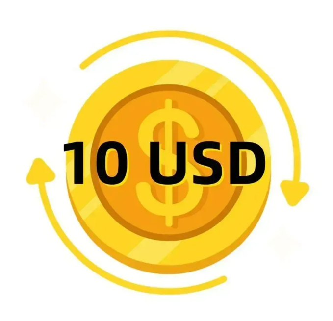 ZZ-JJH VIP Exclusive Payment Portal Orders Balance Top-Up & Express Shipping