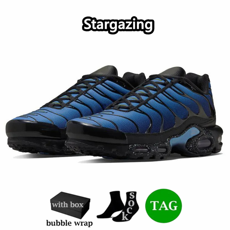 With Box Sneakers Men Women Tn Plus Running Shoes Triple White Black Unity Sky Blue Ice Hyper Marseille Designer Tns Trainers Outdoor Jogging Sports S