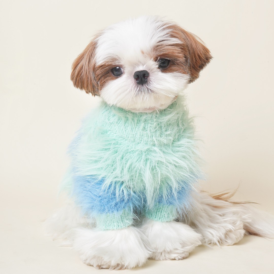 Poodle Clothes Autumn and Winter Sweatshirt Dog Clothes Fur Pets Clothing Dog Clothes for Large Dogs 240929