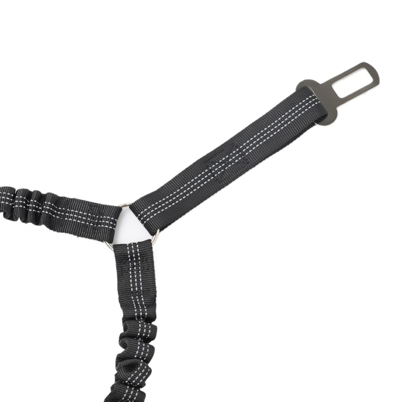 Shock Absorbing Dual Dog Leash Reflective Nylon Anti Pull Bungee Leash for Small Medium Large Pets