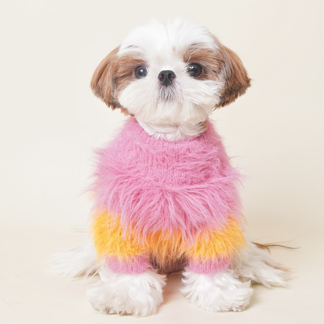 Poodle Clothes Autumn and Winter Sweatshirt Dog Clothes Fur Pets Clothing Dog Clothes for Large Dogs 240929