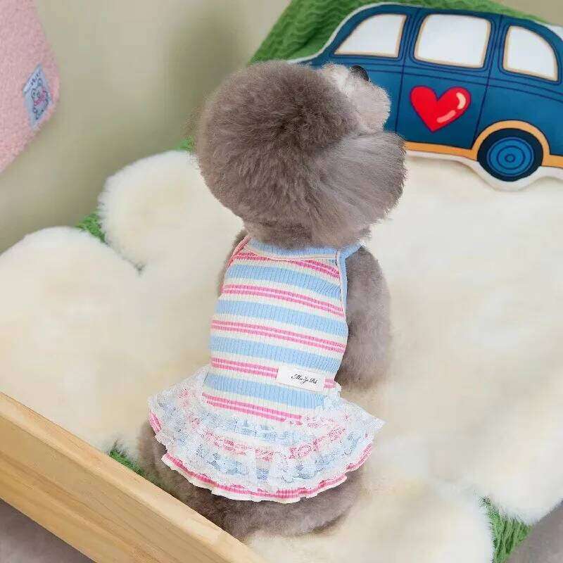 Puppy Summer Clothes Dog Fancy Dress for Small Breeds Dogs Pet Short Skirt Pomeranian One Piece Ropa Perro Costume Roupa Vestido XJ251225