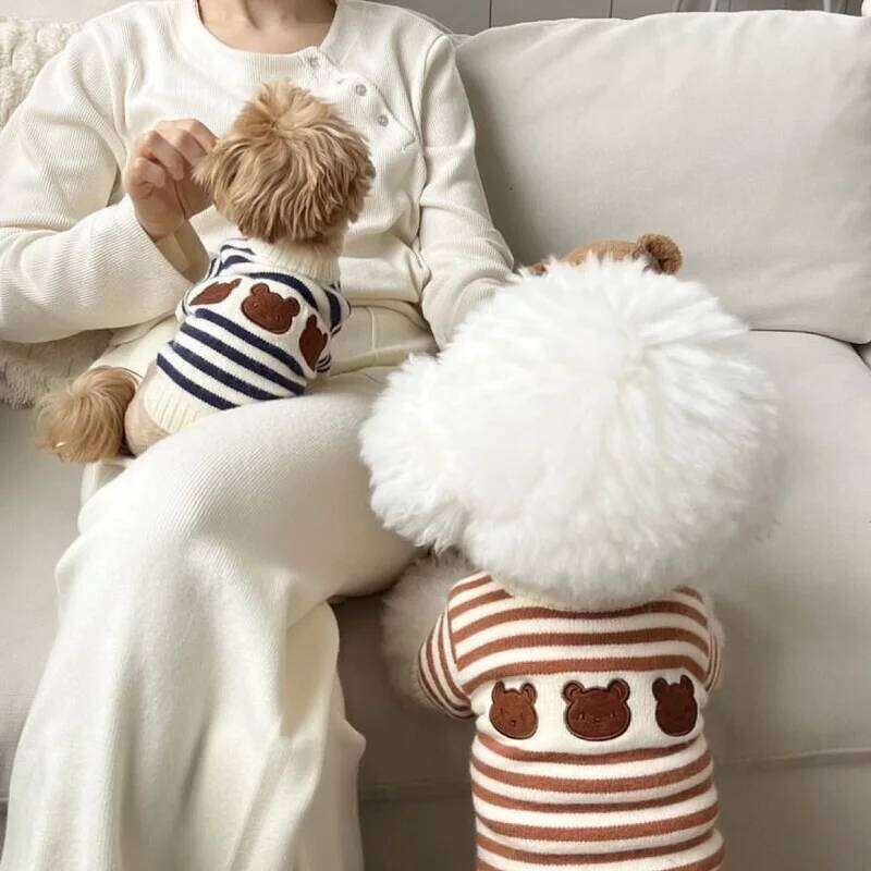 Sweater Bear Striped Puppy Winter Clothes Pet Warm Sweatshirt Knitted Coat Chihuahua Dachshund Clothing Dog Pullover XJ251225