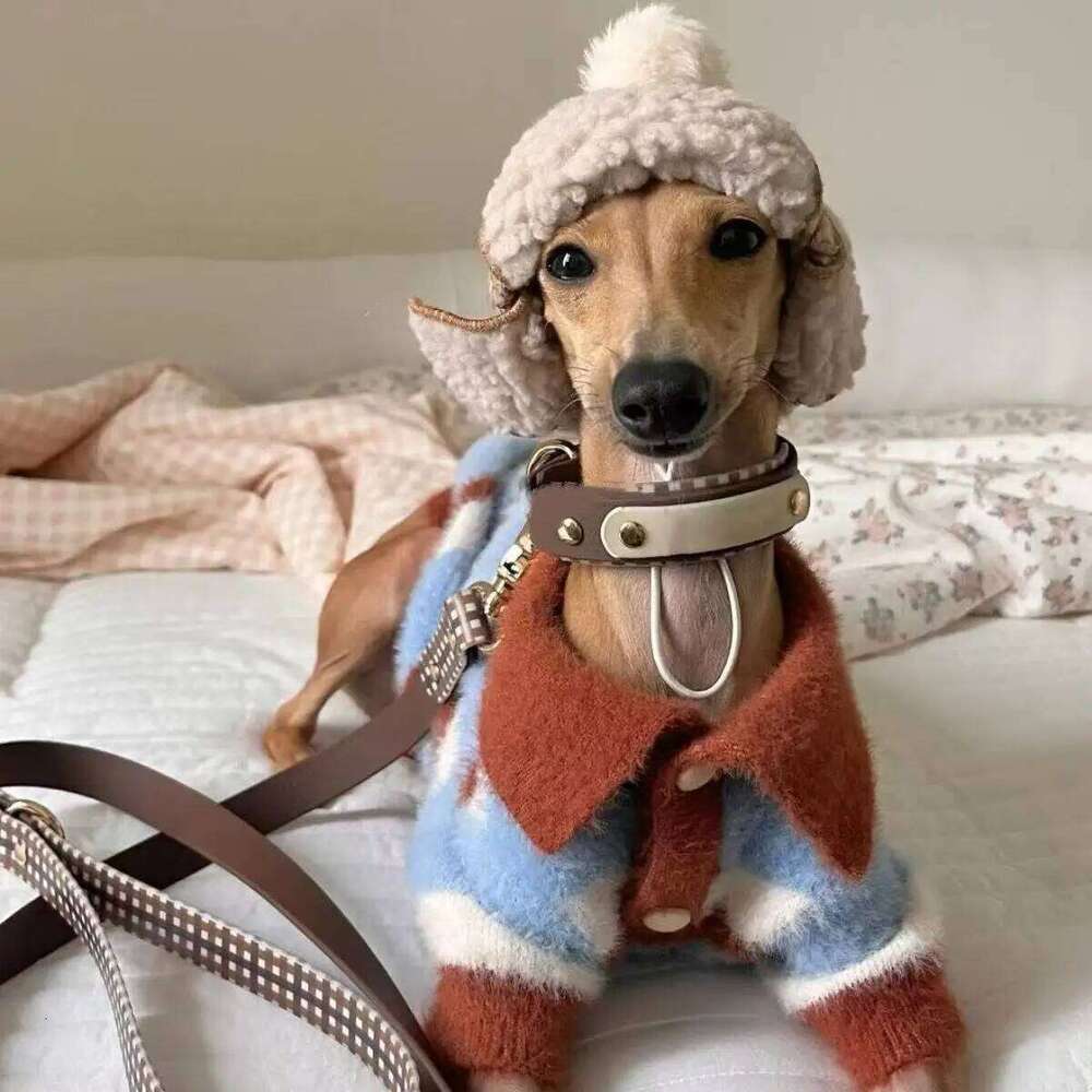 Dog Color Blocked Striped Sweater Dogs Winter For Small Medium Puppy Bichon Teddy Pet Warm Clothes XJ251225