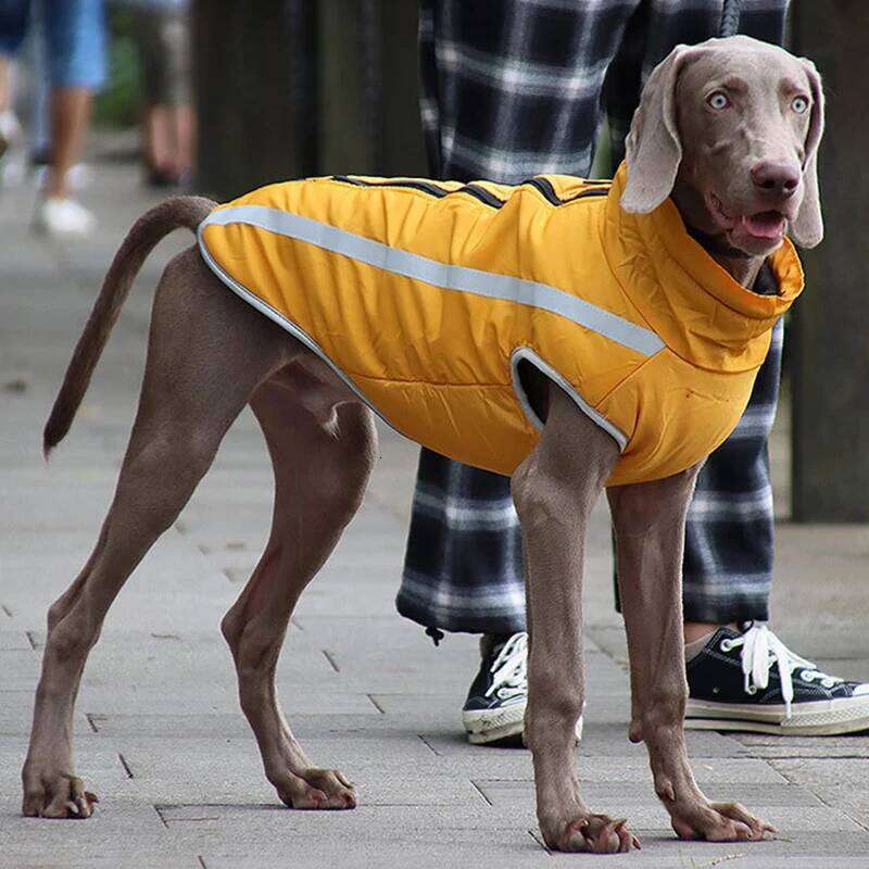 Reflective Pet Clothes for Large Dogs Windproof Big Coat Jacket Pitbull Greyhound Wheeling Dog Clothing ropa de perros XJ251225