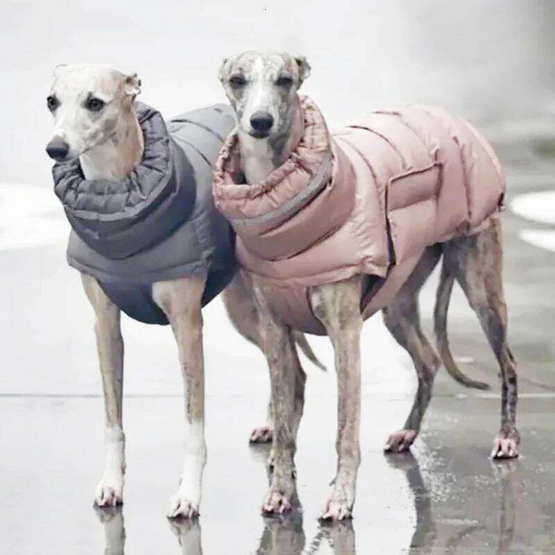 Dog Winter Warm Clothes Down Jacket Waterproof Fleece Vest Thicken Coat Clothing for Dogs Puppy Cats Pet costume XJ251225