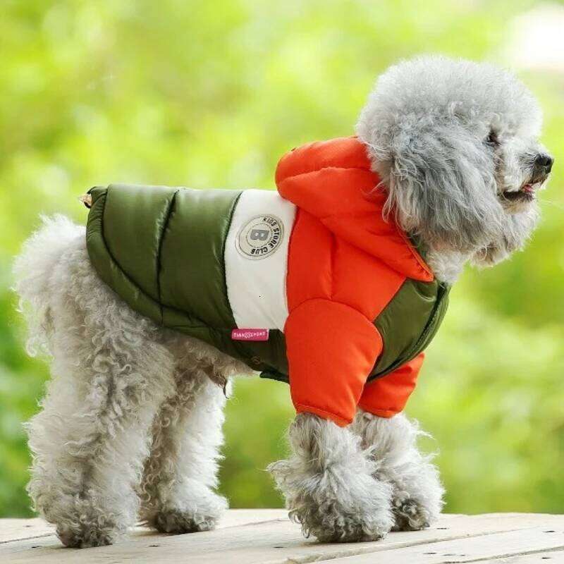 Winter Padded Down Warm Soft Dog Fashion Puppy Jacket Cute Solid Cat Coat Pet Outfits French Bulldog Clothes XJ251225