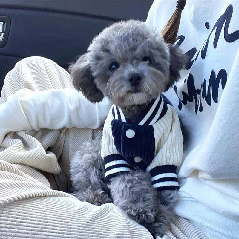 Cute Embroidered Baseball Jackets Dog For Small Medium Cat Teddy Coat Puppy Spring Clothes Warm Fashion Pet Outfit XJ251225