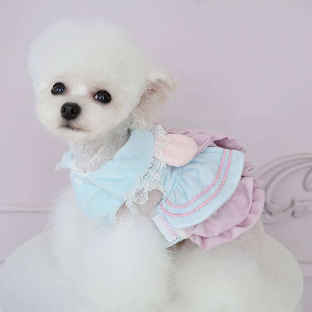 Pet Autumn/Winter Bow Dress Clothing Cat Plush Cute Two Leg Coat Dog Dresses for Small Dogs Puppy Clothes XJ251225