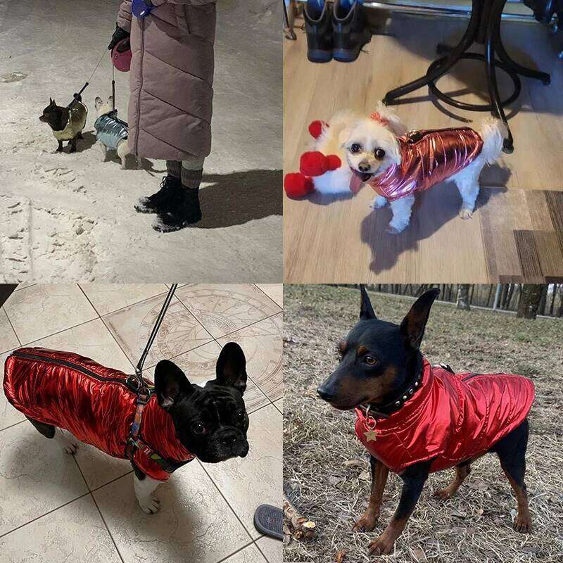 Waterproof Pet Jacket Winter Warm Dog Clothing Outdoor High Neck Vest Coat With D-ring For Small Medium Dogs Cats Chihuahua XJ251225