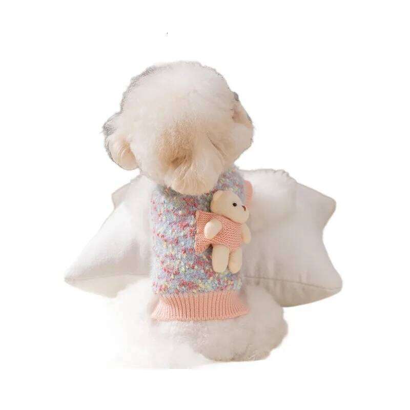 Winter 1/pic Teddy Couple Outfit Clothes Maltese Warm Bear Pullover Pet Dress Small Dog Fashion Knit Sweater XJ251225