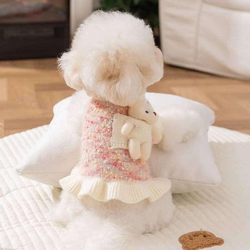 Winter 1/pic Teddy Couple Outfit Clothes Maltese Warm Bear Pullover Pet Dress Small Dog Fashion Knit Sweater XJ251225