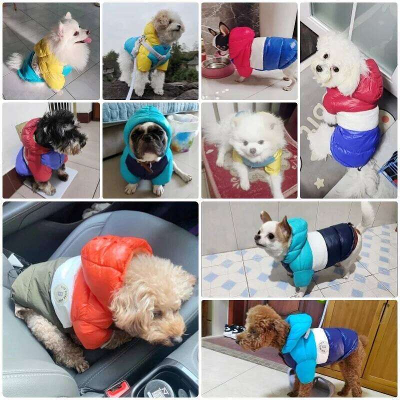 Winter Warm Clothes Luxury Dog Coat Waterproof Puppy Overcoat Padded Soft Cat Down Jacket French Bulldog Pet Costumes XJ251225