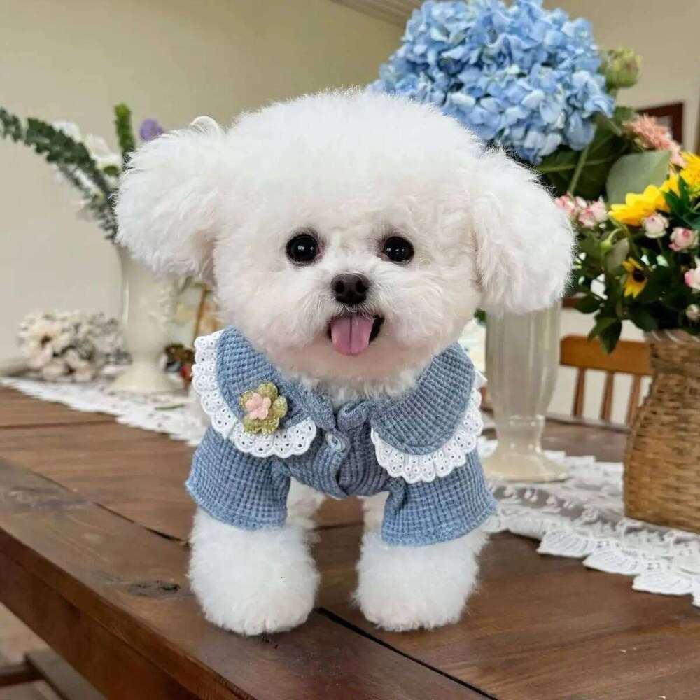 Pet Collar Jumpsuit Spring Autumn Base Shirt Waffle Top Pullover Four Legged Pants Warm Dog and Cat Puppy Clothes XJ251225