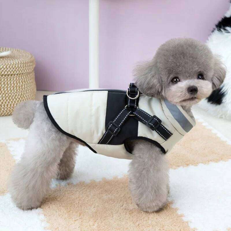with Harness Padded Winter Warm Dog Clothes Reflective Puppy Cat Vest Zipper Jacket Pet Down Chihuahua Coat XJ251225