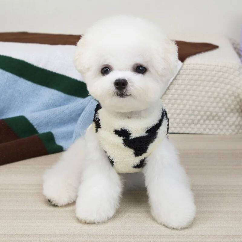 Fleece Warm Sweater Autumn Soft Dog Clothes Luxury Puppy Hoodies Animal Print Cat Vest Pet Pullovers Poodle Apparel XJ251225