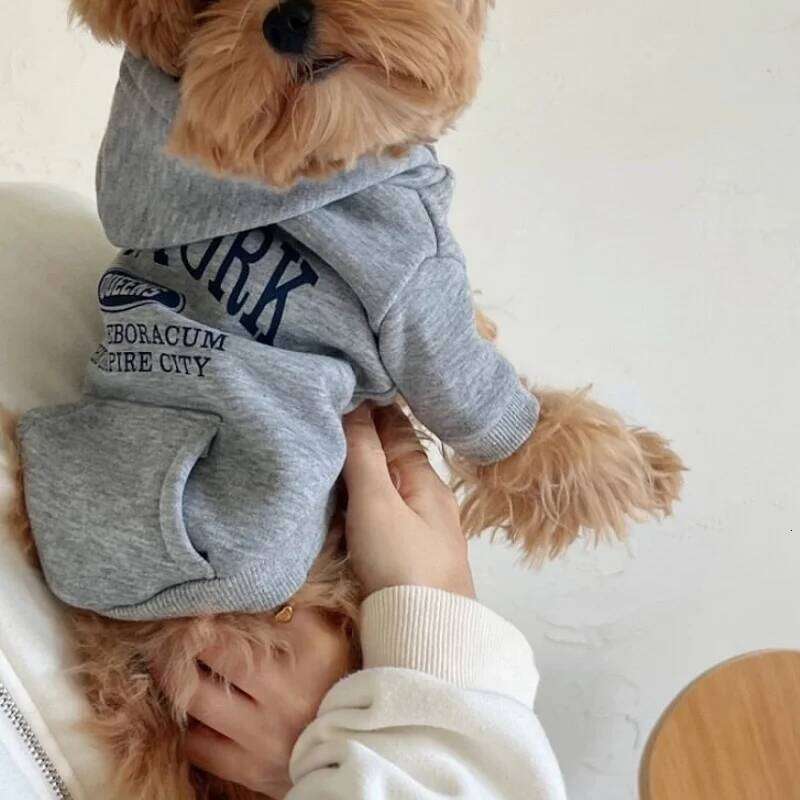 Autumn Warm Soft Plush Dog Clothes Letter Print Puppy Sweatshirts Fashion Cat Pullovers Pet Hoodies Poodle Outfits XJ251225