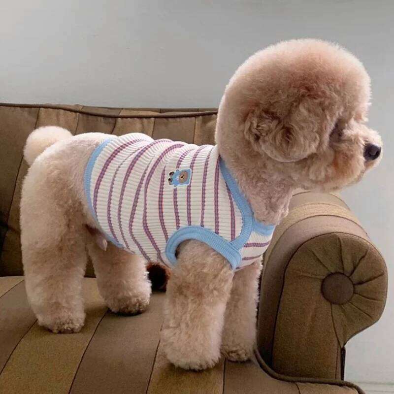 Cute Striped Clothes Comfortable Breathable Puppy Shirt Summer Cat Vest Pet Pullover Bulldog Dog T-Shirt XJ251225