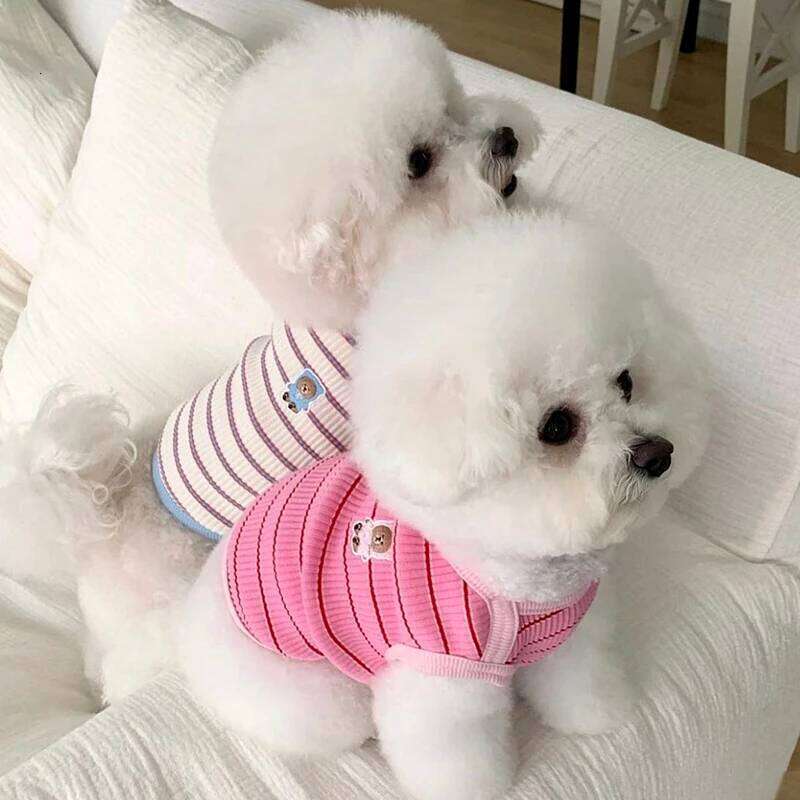 Cute Striped Clothes Comfortable Breathable Puppy Shirt Summer Cat Vest Pet Pullover Bulldog Dog T-Shirt XJ251225