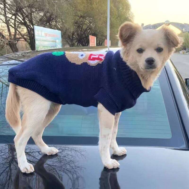 2023 New Arrivals Puppy Clothes Fashion Warm Dog Sweater for Small Dogs Cats Pomeranian Dachshund Autumn Winter Pet Clothing XJ251225