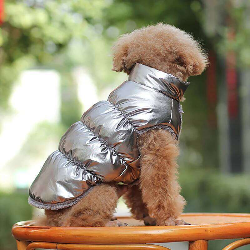 Winter Clothing Vest Dog for Small Large Dogs Coat Down Jacket Waterproof Keep Warm Pet Clothes XJ251225