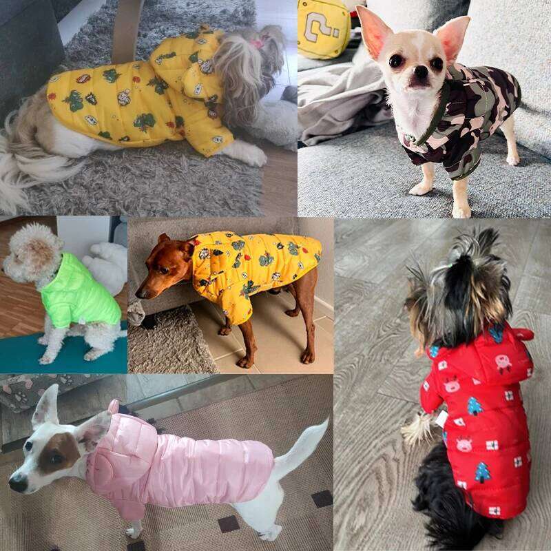 Winter Pet Dog Down Jacket Windproof Warm Clothes for Small Medium Dogs Cats Puppy Coat Chihuahua Shih Tzu Costume Yorkies XJ251225
