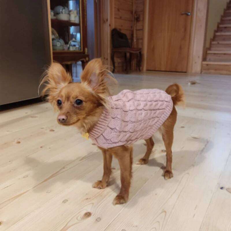 Warm Winter Dog Clothes for Puppy Cat Turtleneck Knitted Chihuahua Yorkie Sweater Vest Pet Knitwear Clothing Bichon XJ251225