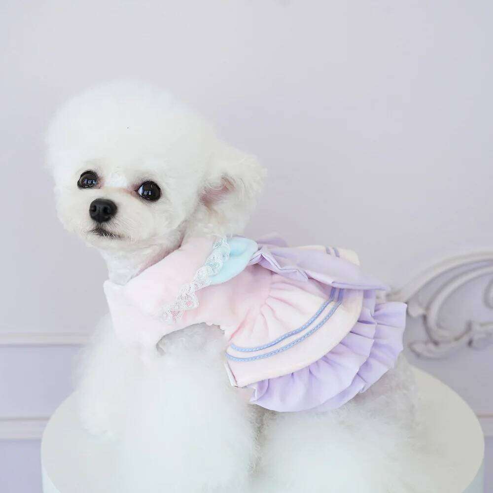 Pet Autumn/Winter Bow Dress Clothing Cat Plush Cute Two Leg Coat Dog Dresses for Small Dogs Puppy Clothes XJ251225