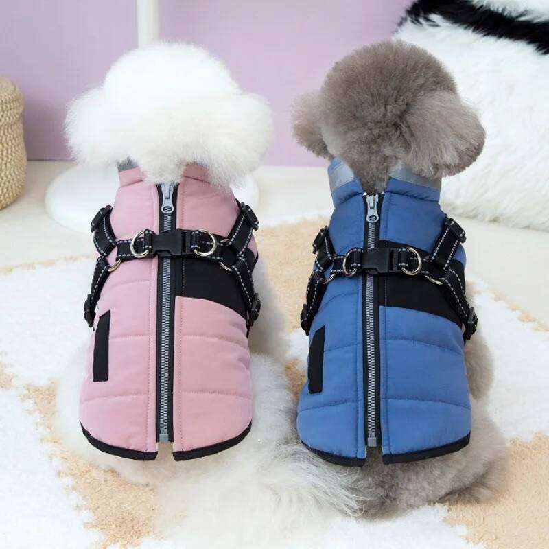 with Harness Padded Winter Warm Dog Clothes Reflective Puppy Cat Vest Zipper Jacket Pet Down Chihuahua Coat XJ251225